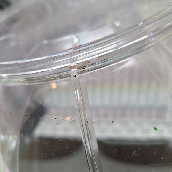 Vintage Fill-A-Bowl Clear Acrylic Party Centerpiece - Create A Unique Design - Picture 9 of 10